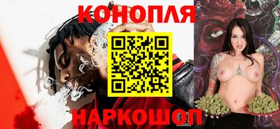 гашик Нальчик