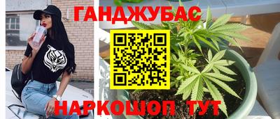 гашик Нальчик