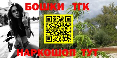 гашик Нальчик