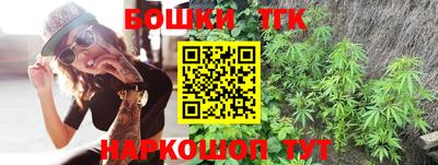 гашик Нальчик